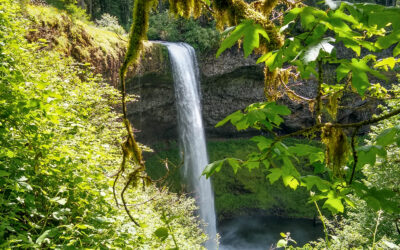 Silver Falls, Oregon