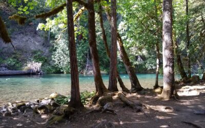 Paradise in Oregon Campground