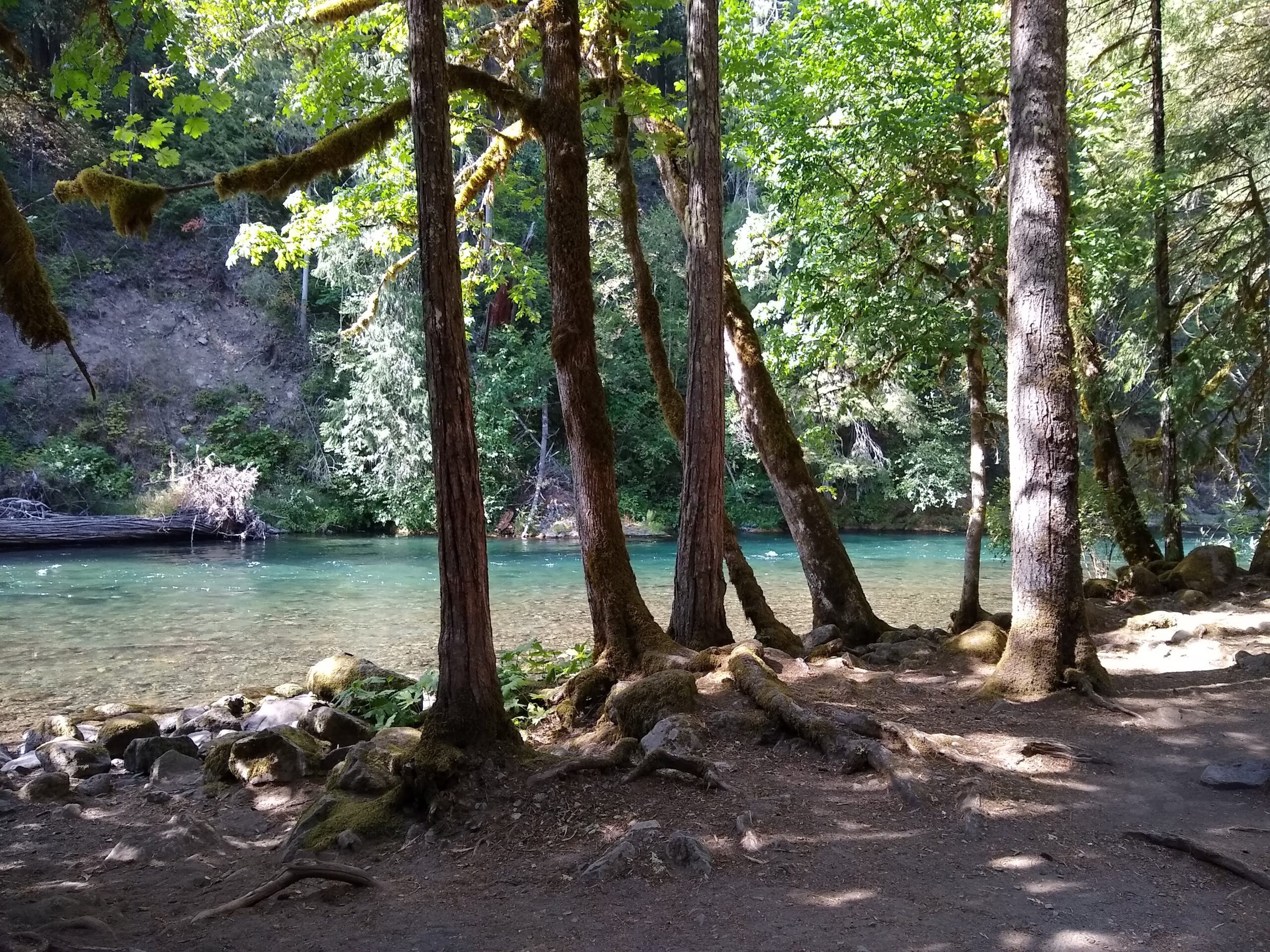 Paradise in Oregon Campground