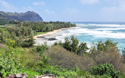 Hawaii (Oahu & Kauai)